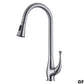 GFD8101 Kitchen Faucet