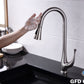 GFD8101 Kitchen Faucet