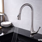 GFD8101 Kitchen Faucet