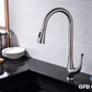 GFD8101 Kitchen Faucet