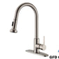 GFD8105 Kitchen Faucet